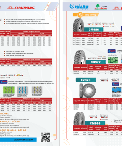 Lốp Chaoyang EZ870 12.00R20