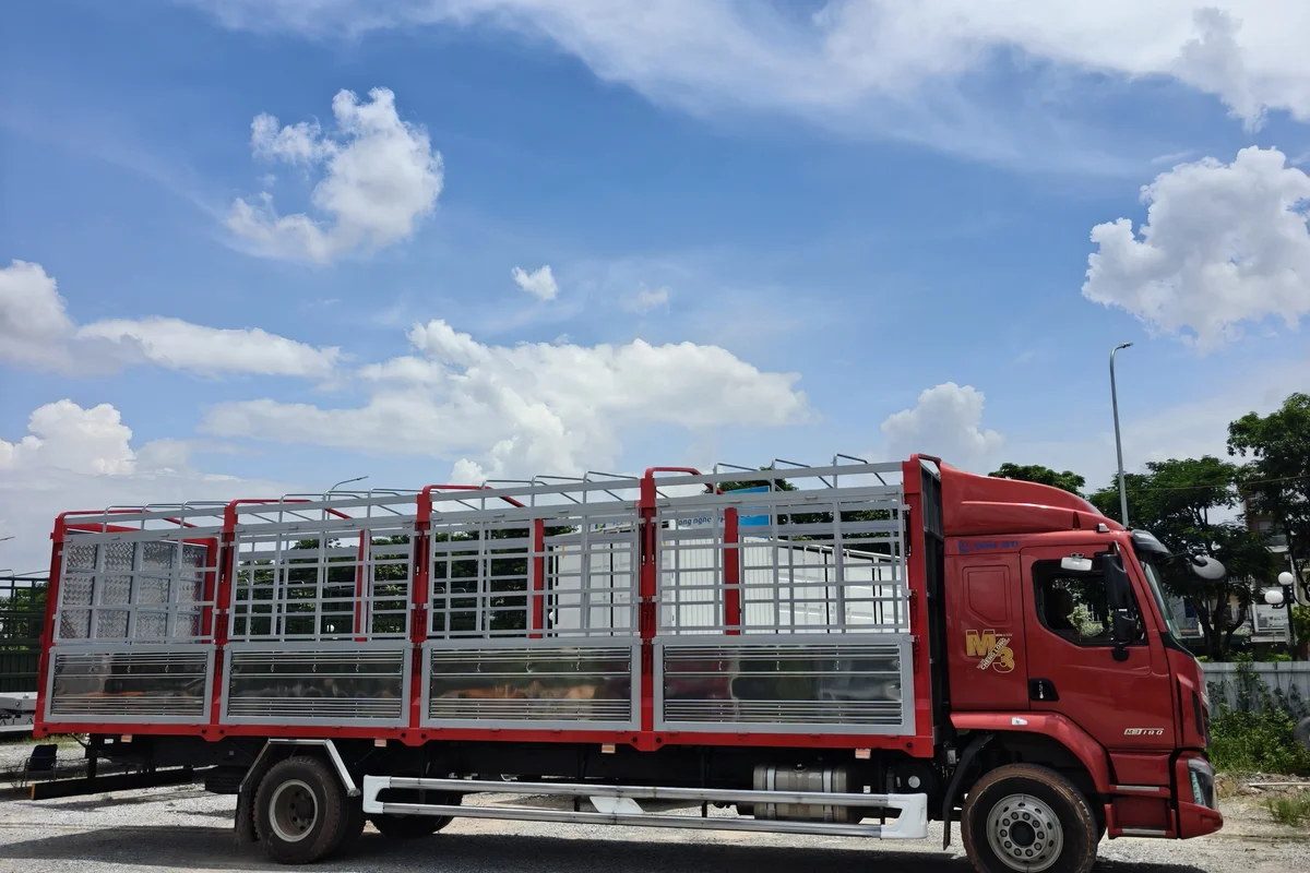 THUNG MUI 180HP
